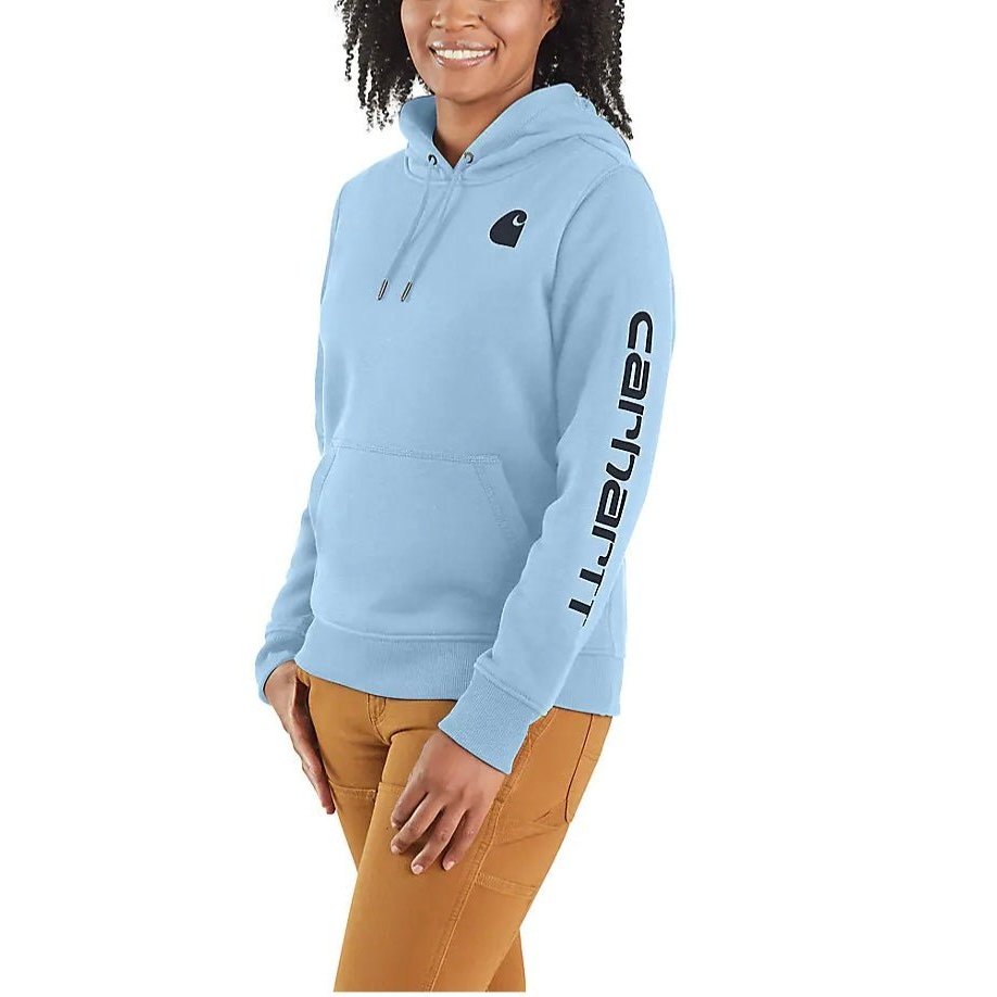 Carhartt Women's Hoodie Relaxed Fit Graphic Pullover 102791 Seasonal Colours