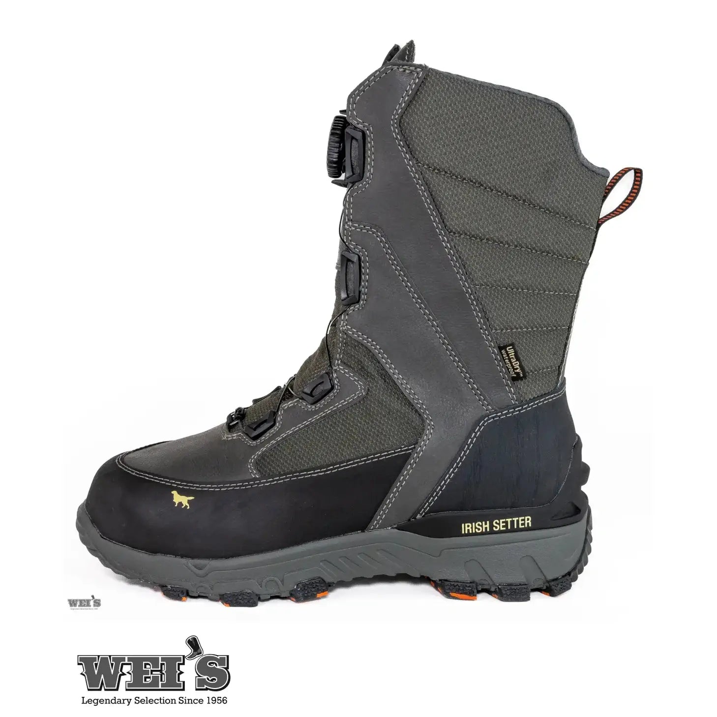 Irish setter king toe deals