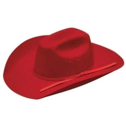 Twister Youth Cowboy Hat Red Wool T7213004